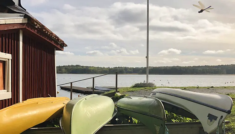 Sommarbild: kanoter på land och en slända i luften