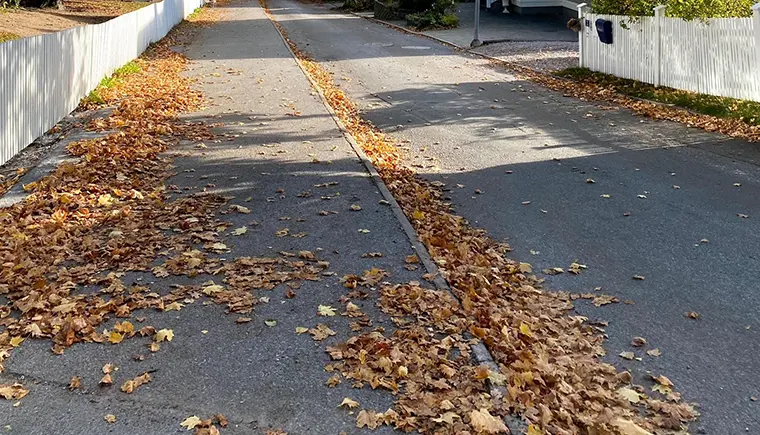 Bild som visar höstlöv som ligger på en gata och trottoar