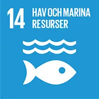 Globala målet 17, hav och marina resurser