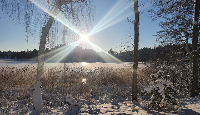Naturbild med snö och sol på Kullön i Vaxholm