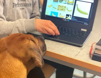 Skolhundens nosv och en barnhand syns i samspel framför dator.